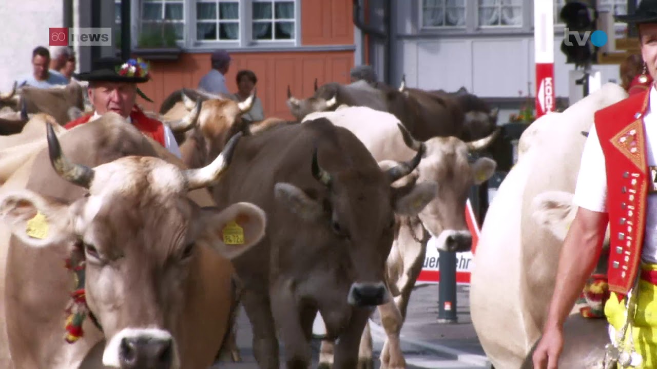 Alpabfahrt Urnäsch wegen Hitzesommer