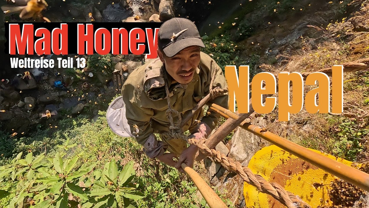 Die Honig Jäger von Nepal.