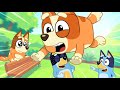Bluey REGRETS Looking Through the Hidden Door! New Toy Adventure Goes! | Bluey 2D Funny Moments
