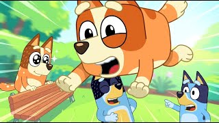 Bluey REGRETS Looking Through the Hidden Door! New Toy Adventure Goes! | Bluey 2D Funny Moments