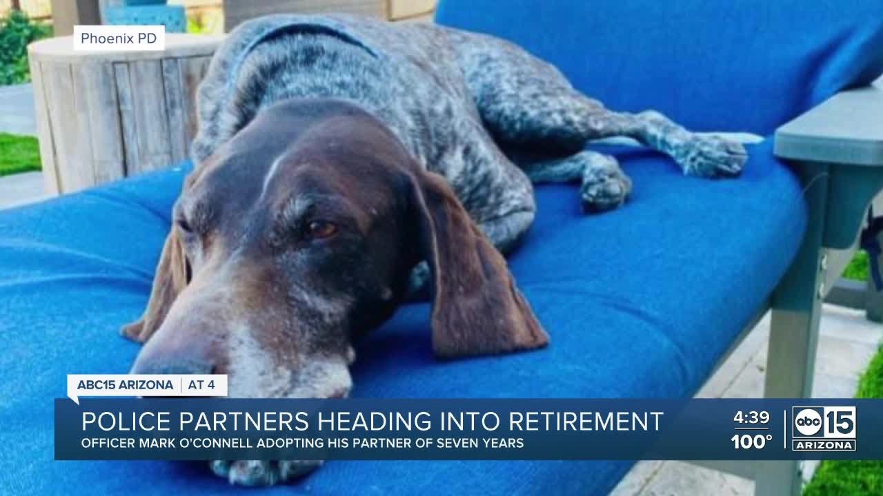 Phoenix police officer to adopt K9 partner after retirement YouTube