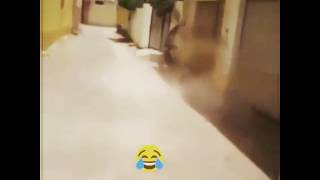 Abakwa hadharani Abakwa hadharani
