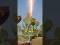 This Cactus Trick Keeps Cattle Alive in Droughts #homesteading #ranching #shorts