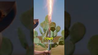 This Weird Cactus Trick Is Actually Genius 🌵#animalfacts #farming #shorts