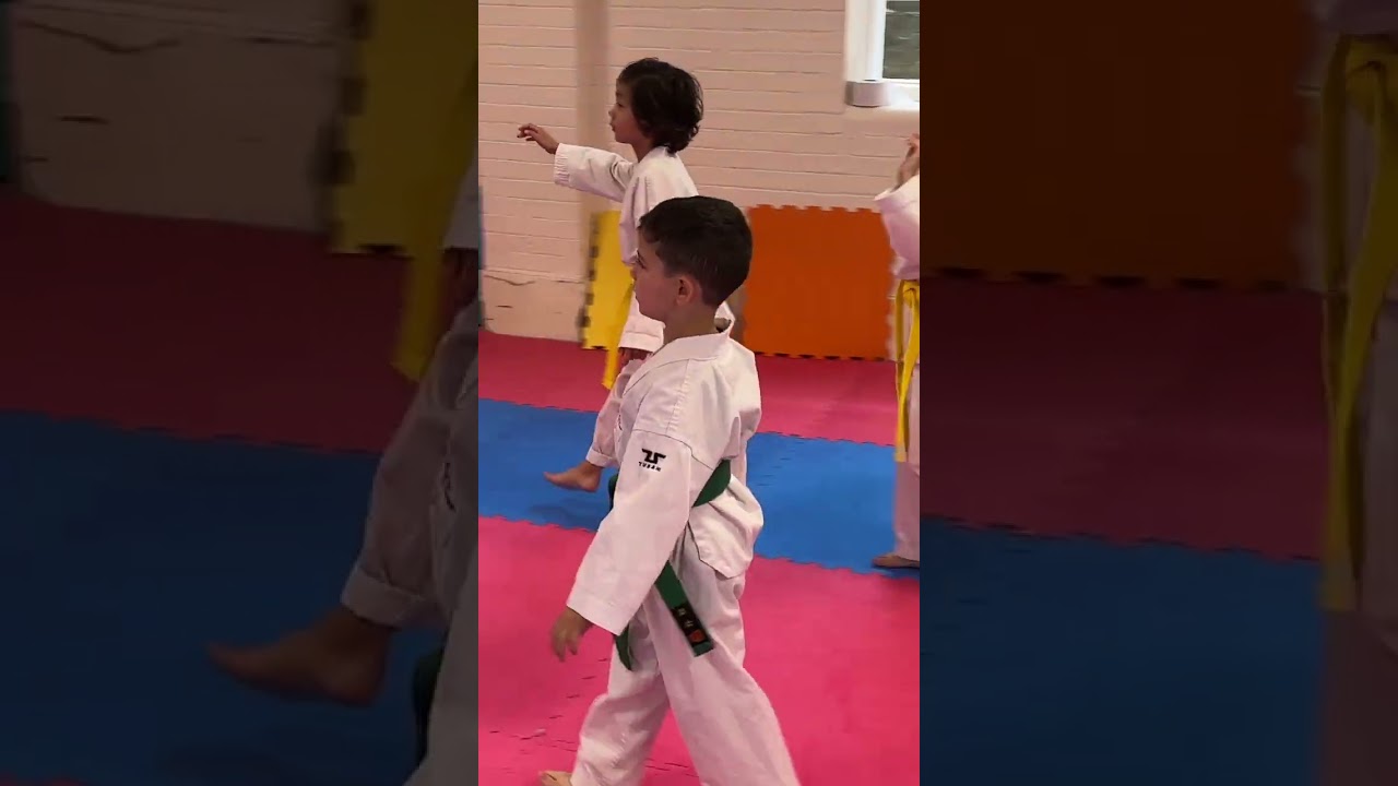 Lorenzo’s Taekwondo Adventure: Kickin’ It Like a Pro! 🥋