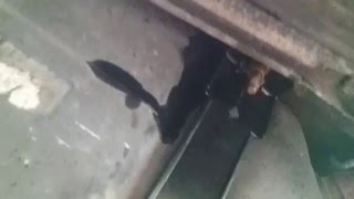 Emergency Gas Tank Strap SAAB 9000 pt 3 of 3