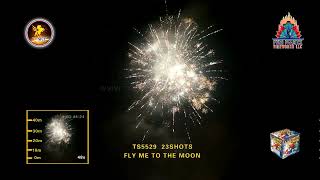 T-SKY FLY ME TO THE MOON
