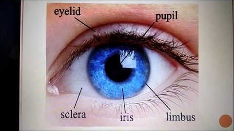 IRIS RECOGNITION USING LESS EXPENSIVE CAMERA