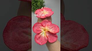 Easy Crafts Ideas