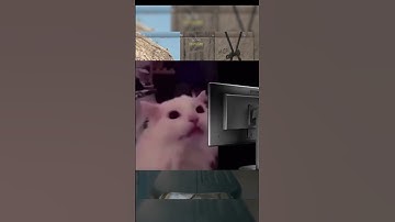 MW2 FLASHBANGS BE LIKE: