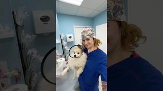 Экзамен Постановке Катетерадумаете Справисиль?