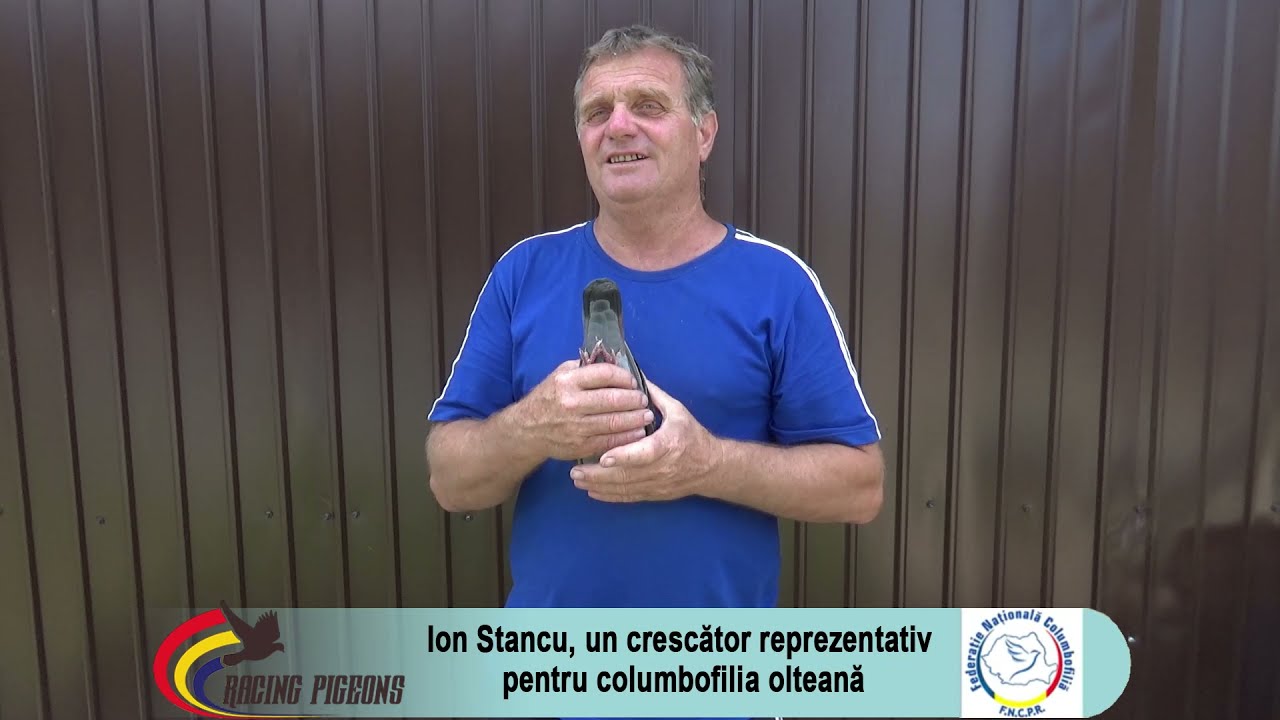 Ion Stancu, un crescător reprezentativ pentru columbofilia olteană