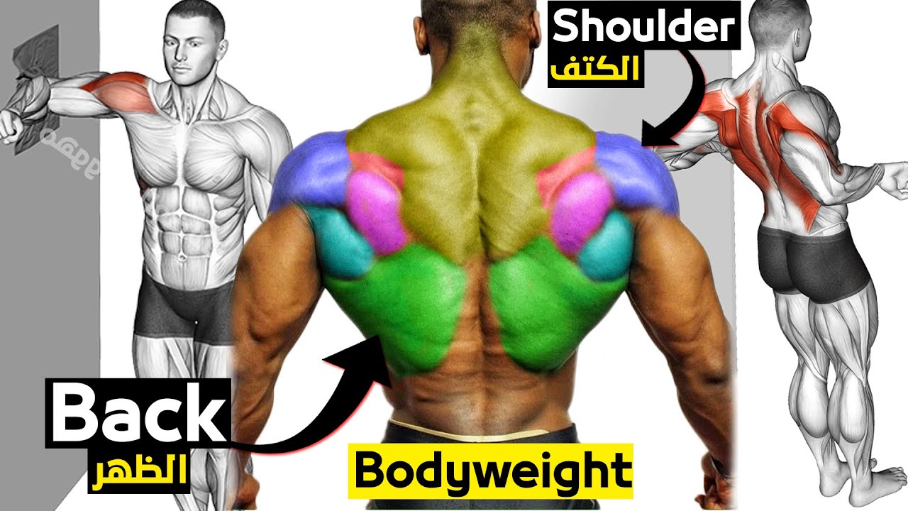 Bodyweight Workout Shoulder and Back تمارين الكتف والظهر بدون اوزان