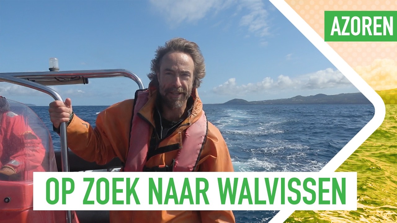 Chris gaat walvissen spotten bij de Azoren | 3 OP REIS