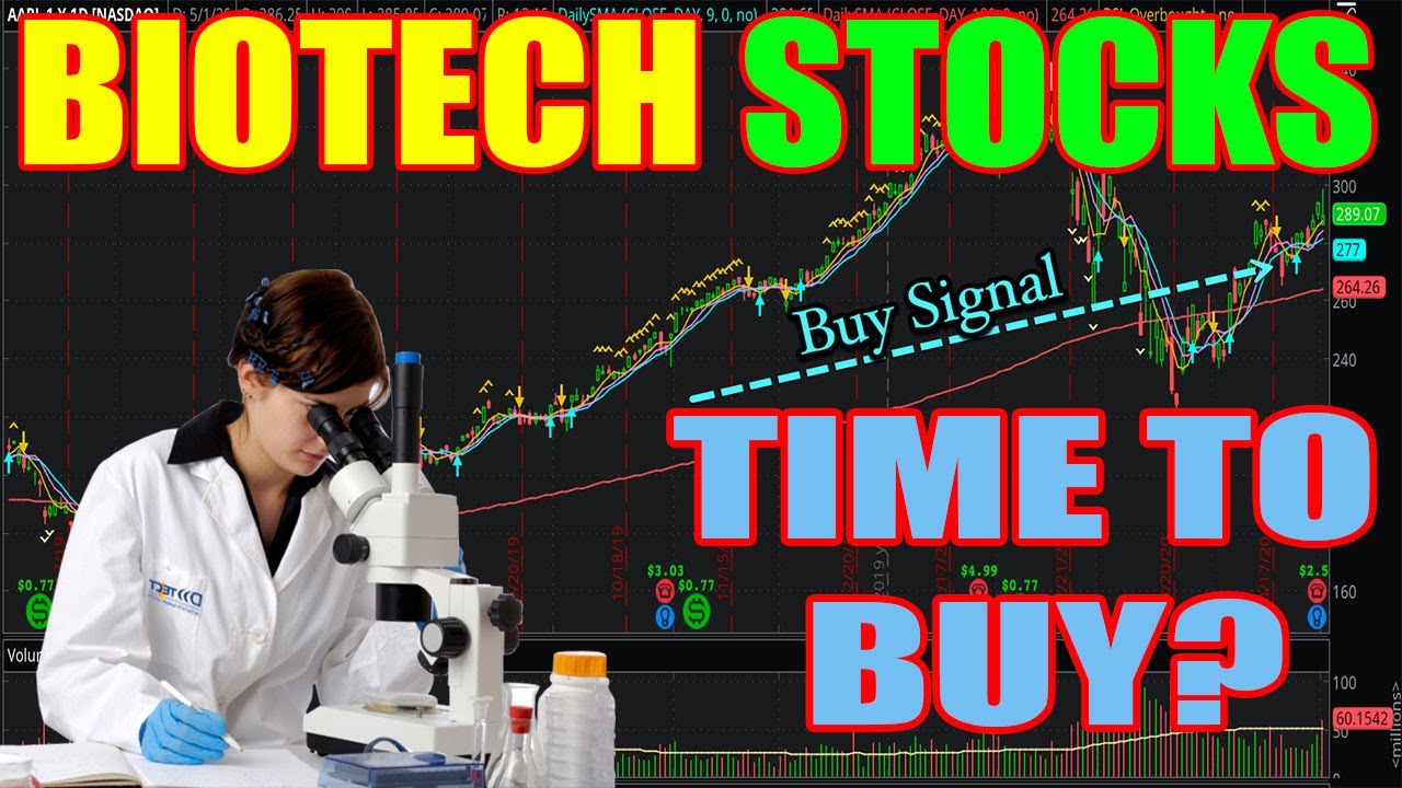 TOP BIOTECHNOLOGY STOCKS TO BUY 2020. For Beginners YouTube