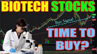 TOP BIOTECHNOLOGY STOCKS TO BUY 2020. For Beginners