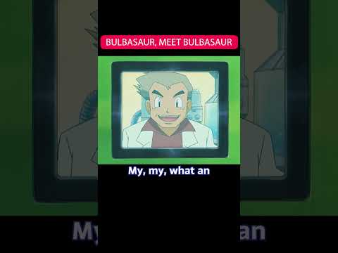 Bulbasaur cuteness overload!