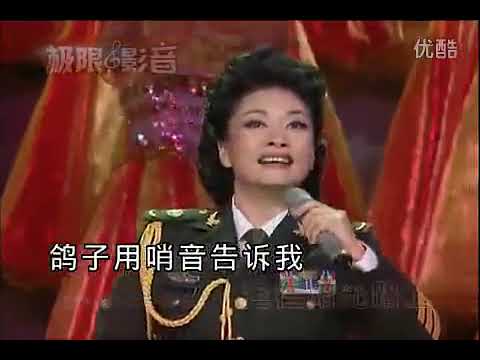 阳光路上 (2010双拥军民迎新春) - 彭丽媛