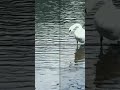 Natura jest piękna