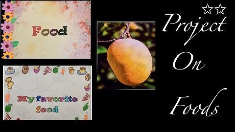 Project On Foods For All Subjects | Project For Class 3
