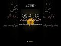 تلاوت القرآن الكريم الشيخ الدكتور سليم علوان الحسيني Youtubeshorts 