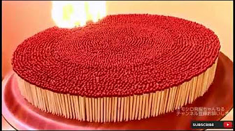 面白い動画 海外まとめ Youtube