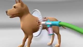 360 Pet Shower Tool – Washes Your Dog In Less Than 1 Minute! screenshot 4