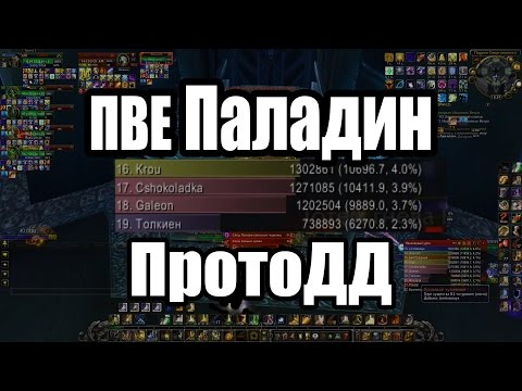 видео: Паладин ПротоДД PVE