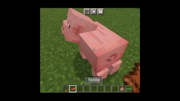HOW TO RIDE A PIG IN MINECRAFT #shorts #minecraft #minecraftshorts