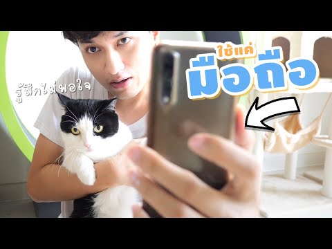 วีดีโอ: วิธีถ่ายรูปแมว