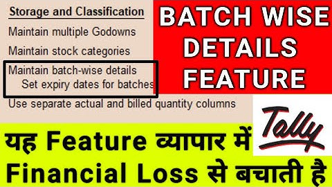Tally Batch Wise Detail Feature Explained in Hindi | Loss Preventing Feature |