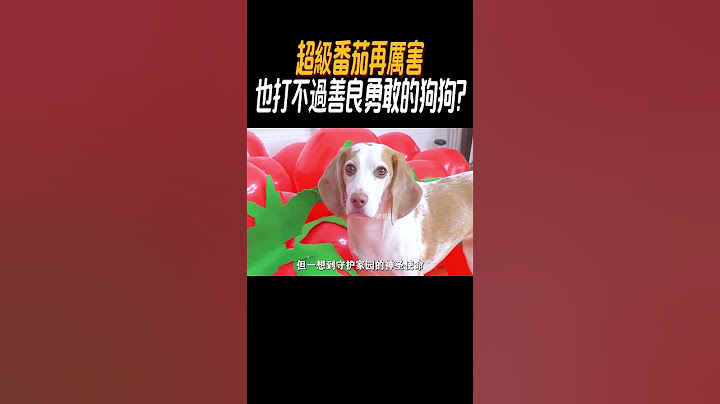 超級番茄再厲害，也打不過善良勇敢的狗狗?#奇聞奇事 #奇聞異事 #趣事