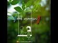 Good morning 🌍🌄  new whatsapp status video 😍😍😍😘😘