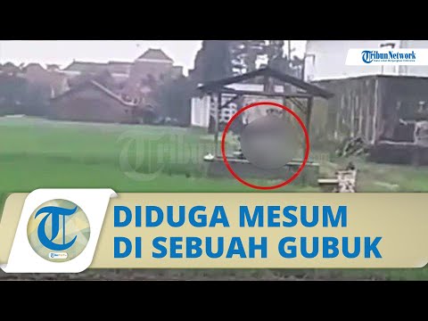 Viral Video Sejoli Diduga Mesum Siang Bolong di  Gubuk Tengah Sawah, Diteriaki Warga Tetap Cuek