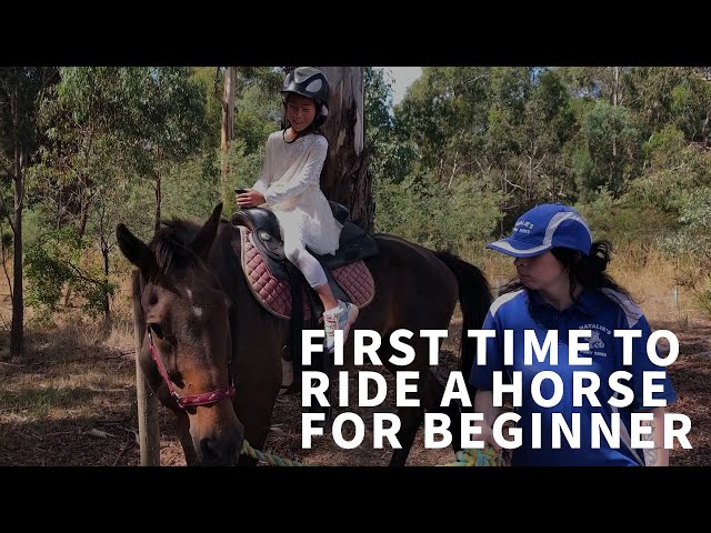 First time to Ride a Horse For Beginner Kids love it class=