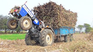 Swaraj 744 Fe Pulling Full Loaded Trolley Of Sugarcane