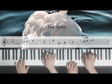 The Swan( Easy Sheet)  (4 Hands) - Saint-Saëns