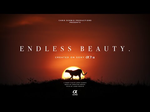 Endless Beauty - a Sony α7S III short movie