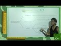 AULA FON´ETICA ORTOGRAFIA PROF. ROSE