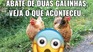 Veja como foi abade de duas galinha