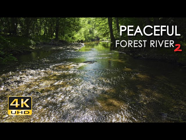 4K Peaceful Forest River 2 - Relaxing Water Stream Sounds - 9 Hours - Nature Video for Sleeping class=