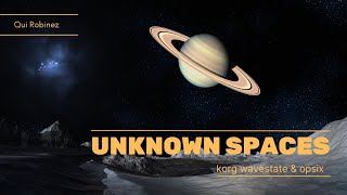 wavestate native & opsix native: song - Unknown Spaces