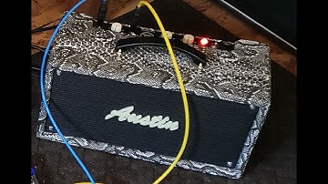Austin Tube Spring Reverb - Snakeskin Tolex, Samples with different guitars and Styles