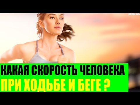 Какая скорость человека при ходьбе и беге?