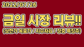 2022/07/26 금일 시장 리뷰!! [금양][플래스크][에이팩트][신풍제지][웰크론한텍][아즈텍WB][코리아에셋투자증권][이지바이오][이엔코퍼레이션][일동홀딩스][일동제약] 등