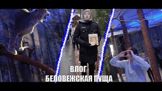 БОЛЬШОЙ ВЛОГ ИЗ БЕЛОВЕЖСКОЙ ПУЩИ! ЧАСТЬ 1