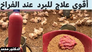 علاج البرد عند الفراخ / العطسه/ الخنفره /صوت الضفادع مع الدكتور محمد رضا