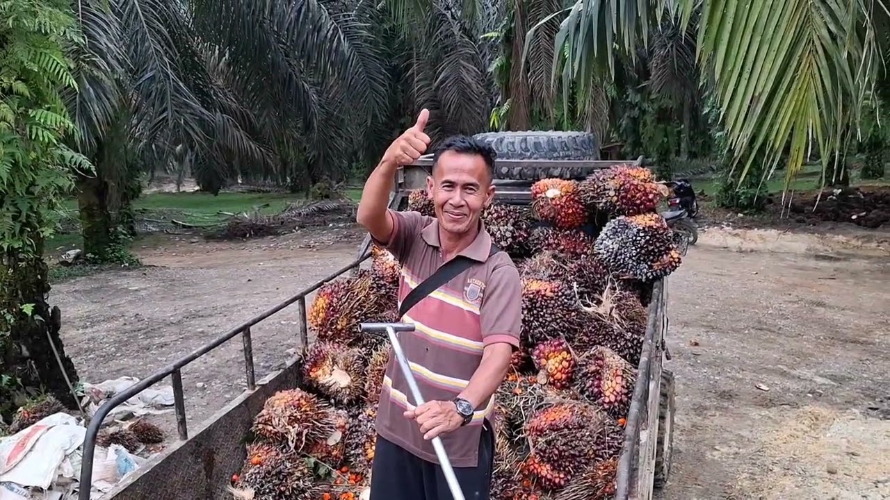 Muat sawit paling enak di peron