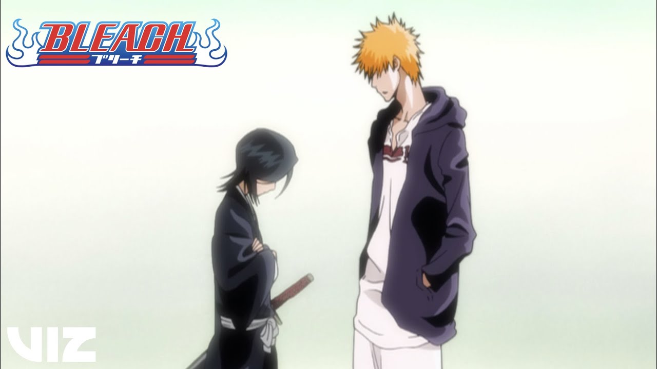 I finally finished bleach manga these two are my fav bankai : r/bleach