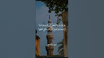 إِنَّ زَلْزَلَةَ السَّاعَةِ شَيْءٌ عَظِيمٌ || سورة الحج || علي جابر